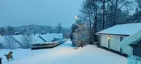 A snowy landscape with trees, houses, garages a road and a gray sky